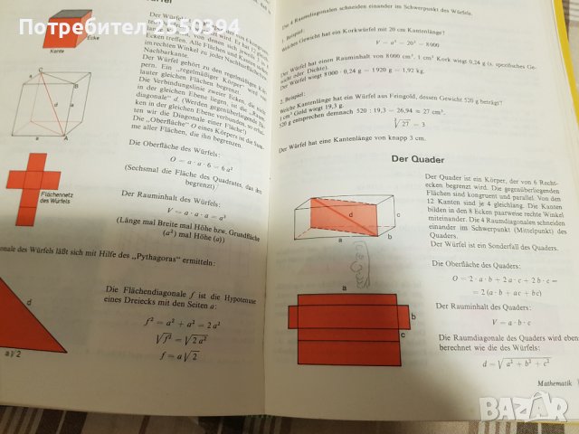 Der Hauslehrer , снимка 9 - Специализирана литература - 38042973