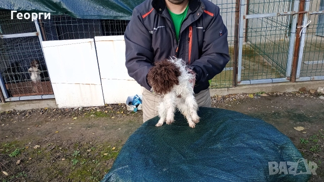 Лагото Романьоли , снимка 6 - Други - 52713937