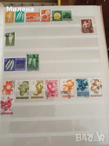 Пощенски марки, снимка 7 - Колекции - 50144253
