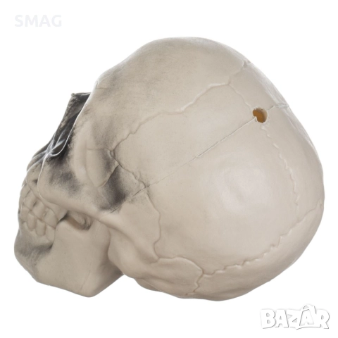 Halloween / Хелоуин декоративен череп – пластмасов, 9см_1173139, снимка 3 - Декорация за дома - 52008498