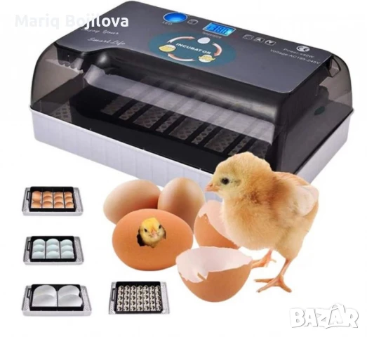 Автоматичен инкубатор за 12 яйца – Лесен за употреба YZ9-12