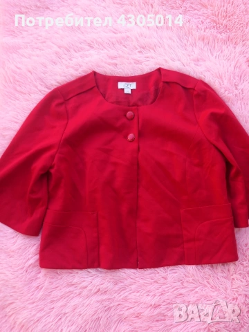 Сака и наметки, снимка 16 - Сака - 54332669