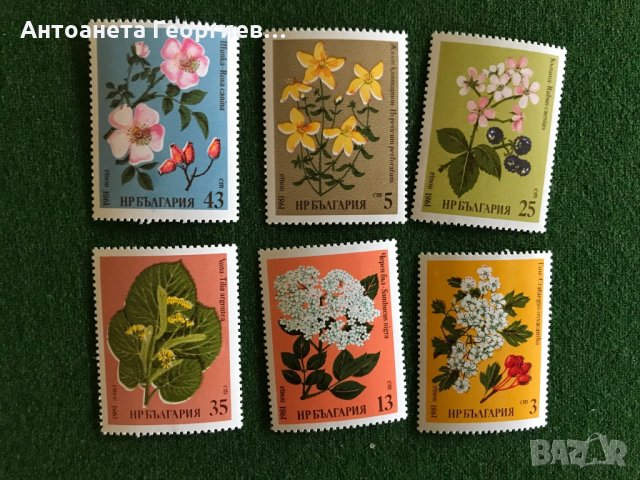 Пощенски марки -България , снимка 1 - Филателия - 32184226