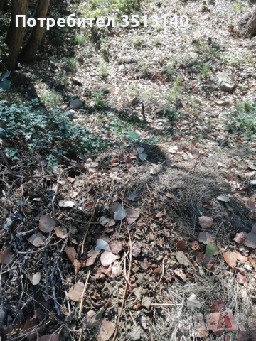 Парцел с. Панчарево, София, снимка 3 - Парцели - 51669556