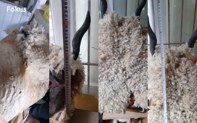 Стара автентична кукерска маска дърво дърворезба овча кожа, снимка 7 - Антикварни и старинни предмети - 54044033