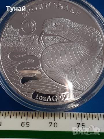 змия от австралия, снимка 2 - Нумизматика и бонистика - 32204803