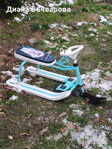 Шейна, снимка 8 - Зимни спортове - 52923387