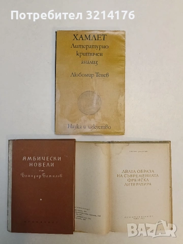 Двата образа на съвременната френска литература - Борис Делчев (1950), снимка 2 - Художествена литература - 53220061