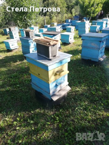 Пчелни кошери, снимка 2 - За пчели - 29270596