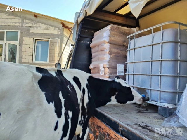 Бидони 1 тон съдове за меласа цистерни за вода 1000 литра ibc , снимка 3 - Напояване - 52869719