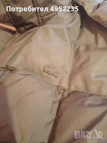 ОРИГИНАЛНО яке Lacoste за ръст около 176-182см,90-95кг, снимка 5 - Якета - 56121845