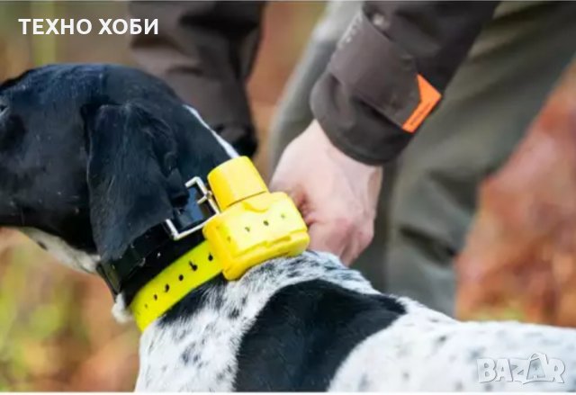 Електронен Бийпър за ловно куче , снимка 6 - Оборудване и аксесоари за оръжия - 31492331