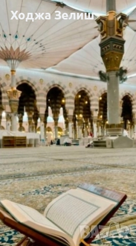 здравейте помагат на хората 