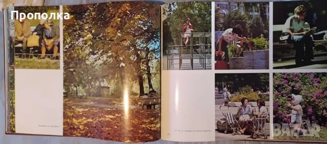  Енциклопедичен фотоалбум София 100г. и България 1300г. изд.1979г. , снимка 5 - Енциклопедии, справочници - 48513240