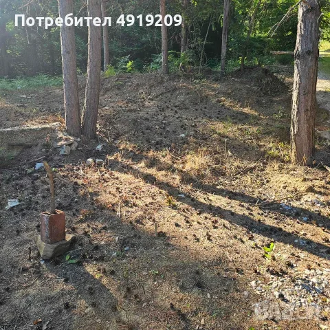 УПИ 600кв.м в с. Гълъбово , снимка 2 - Парцели - 55934227