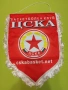 Флагче на ЦСКС, снимка 1