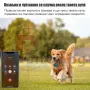 Gps за кучета , снимка 9