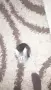 Коте на два месеца , снимка 2