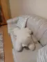 ПЛЮШЕНА ИГРАЧКА ГОЛЯМА МЕЧКА, снимка 3