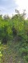 Без Наем - дългосрочно Панорамен Парцел в регулация 1000кв.м.  гр.Шумен, снимка 3