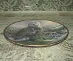 Колекционерскa декоративнa порцелановa чиния Spode, с полярна сова, снимка 5