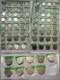 Аптекарски жетони, снимка 1