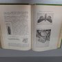 "Неприятели на зеленчуковите растения в България и борбата с тях", 1958г., снимка 5