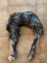 Яка от естествен косъм ПОСЛЕДНА БРОЙКА, снимка 2