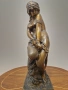 Прекрасна стара антикварна френска бронзова фигура пластика статуетка , снимка 3