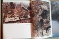 Атентатите от 11 септември - Визуална история / Above Hallowed Ground, снимка 12