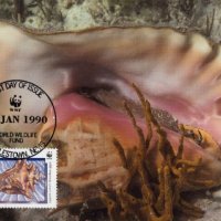 Невис 1990 - 4 броя Карти Максимум - WWF, снимка 2 - Филателия - 38788910
