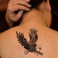 3D Орел временна татуировка татос татус Tattoo, снимка 3 - Други - 30779079