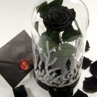 Луксозен Подарък за Жена / Естествена Вечна Черна Роза в Стъкленица / Стилен Подарък за Рожден Ден, снимка 5 - Други - 34470601