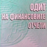 Одит на финансовите отчети Дамян Дамянов, снимка 1 - Специализирана литература - 29775932