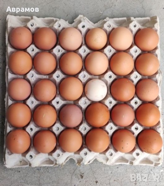домашни кокоши яйца, снимка 1