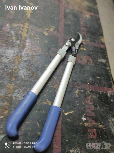 Яка Градинска Ножица, снимка 1