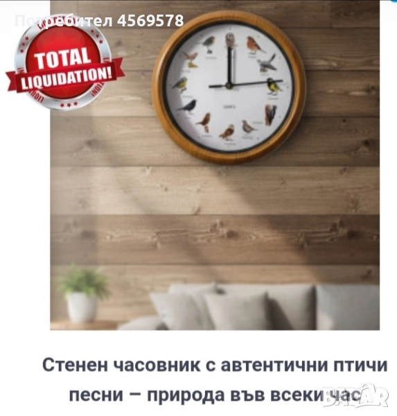 Тотална разпродажба на Стенен часовник с автентични птичи песни - природа във всеки час!🕗  , снимка 1