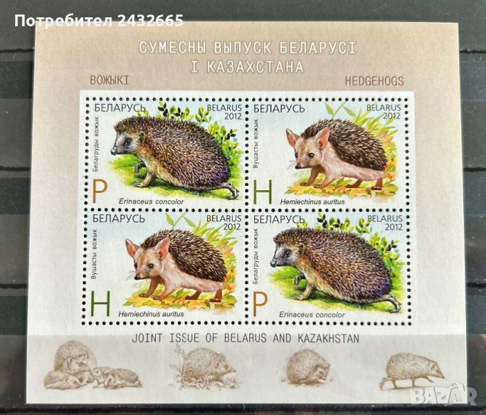 1449. Беларус 2012 ~ “ Фауна. Застрашени видове : Таралежи.”, **, MNH, снимка 1