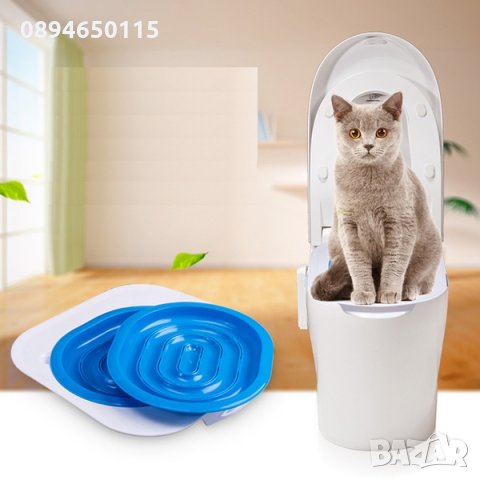 Да научим котката да ходи в човешката тоалетна! котешка коте