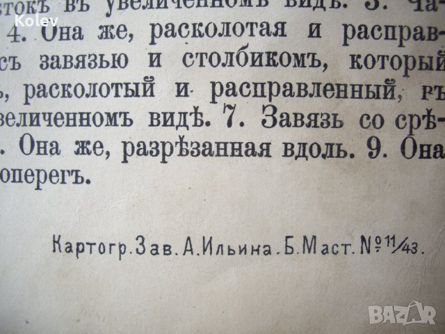 1881 Голям руски албум с цветни страници, снимка 6 - Антикварни и старинни предмети - 37618970