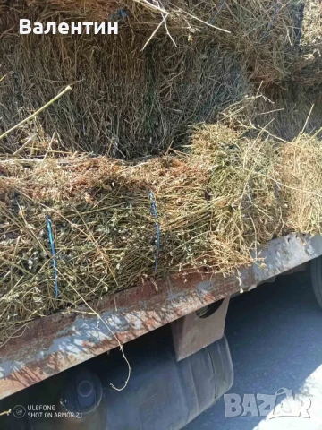 Продавам Бали люцерна,сено реколта 2025, снимка 4 - За селскостопански - 46343308