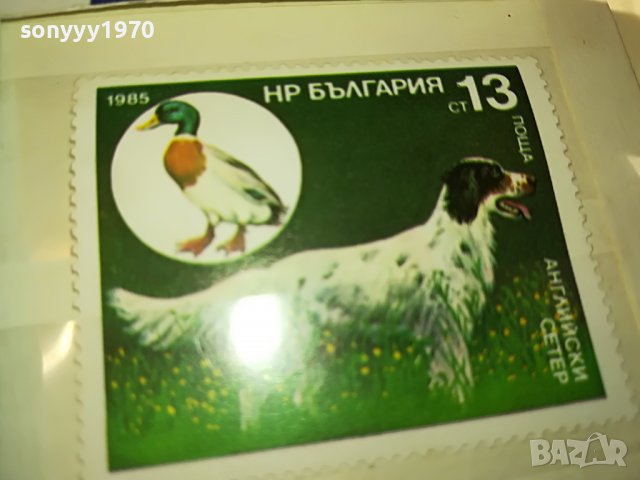 МАРКА 4 НРБ 1985 АНГЛИЙСКИ СЕТЕР 1203231608, снимка 6 - Филателия - 39972745