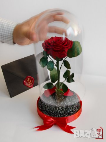 Вечна Роза в ГОЛЯМА стъкленица / Уникален Подарък за Жена / Естествена Вечна роза Подарък за Момиче, снимка 6 - Други - 34470627