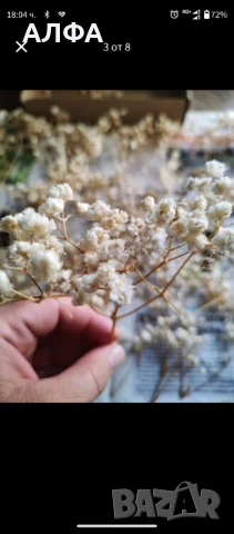 Сухи цветя за украса и аранжировка - гипсофил , снимка 5 - Други стоки за дома - 50565285