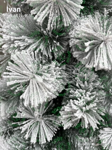 Промо Коледна елха Занежен Бор , снимка 3 - Декорация за дома - 52124985