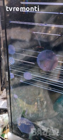 MAIN BOARD, TP.MS3663S.PB801 , for, DYON ENTER 32 PRO, снимка 8 - Части и Платки - 37547925