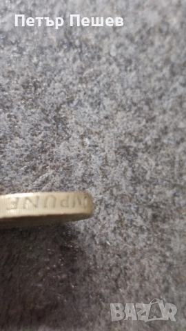 One Pound Nemo Me Impune Lacessit coin 1984, снимка 3 - Нумизматика и бонистика - 52320330