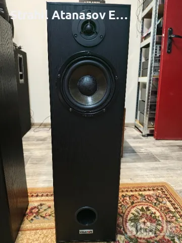 Visaton ALTO II Двулентови Тонколони, снимка 6 - Тонколони - 50282271