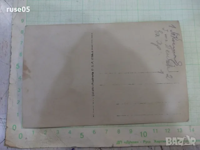 Снимка стара на приятели на излет в полето, снимка 2 - Колекции - 47916027