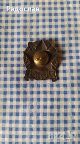 значка Строим за Народната Република , снимка 3 - Колекции - 42071183